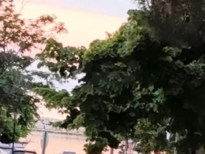 Laskarina * 斯卡拉索提罗斯