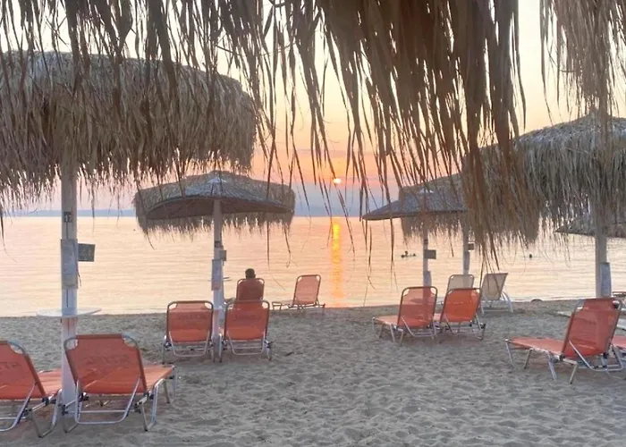 Laskarina 公寓 斯卡拉索提罗斯